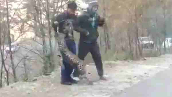 तेंदुए को इंसानों से हुआ प्यार