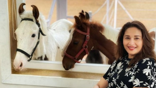 साल 2021 की बेहतरीन शुरुआत साल 2021 की बेहतरीन शुरुआत