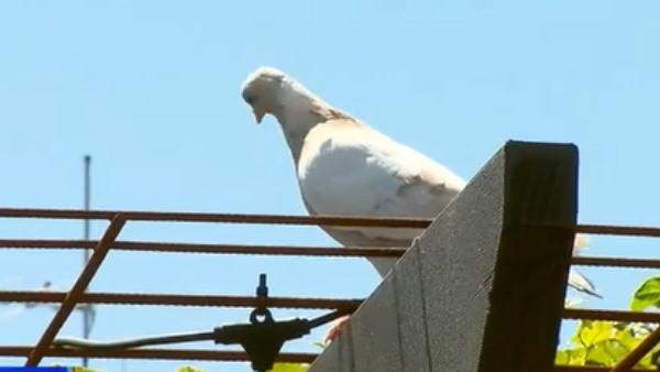 दो महीने में तय किया सफर