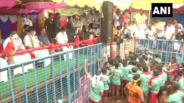 आइए जानते हैं कि आखिर 'जल्‍लीकट्टू' है क्या? 