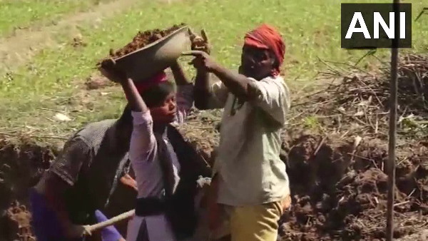 मनरेगा मजदूरी कर पाई-पाई जोड़ रहीं रोजी