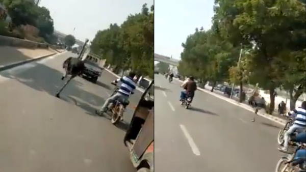 कराची की सड़क पर शुतुरमुर्ग