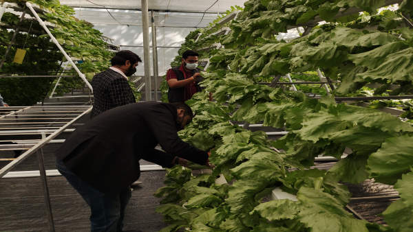  पांच सितारा होटलों में ज्यादा डिमांड