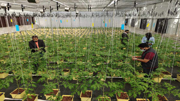  स्थिति सामान्य होने के बाद शुरू हुई कमाई