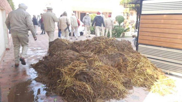 farmers protest punjab dung dumping HC asks police to take steps to protect life and property of BJP leader