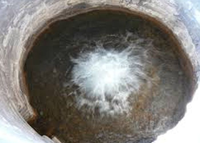 pregnant woman jumped into the well, when Harassed By her Husband