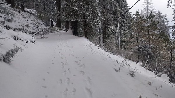 हिमाचल, कश्मीर और उत्तराखंड में बारिश का अंदेशा