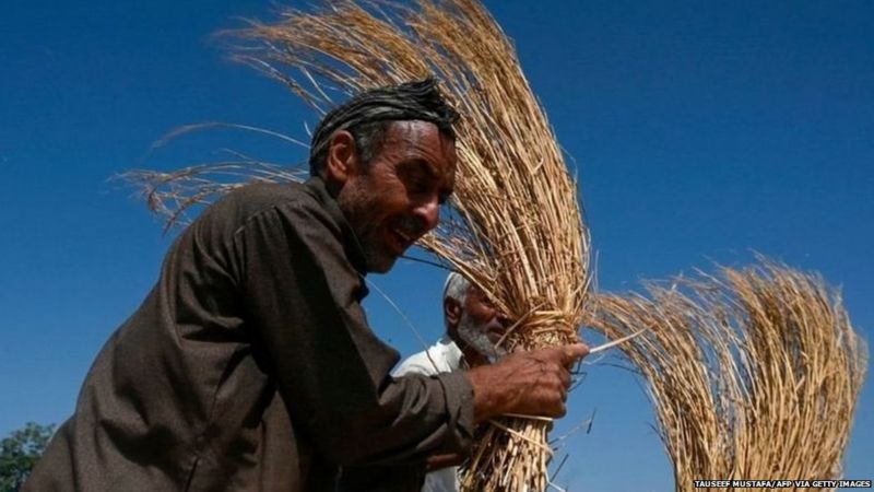 मोदी सरकार को किसान आंदोलन से कितना राजनीतिक-आर्थिक नुक़सान?