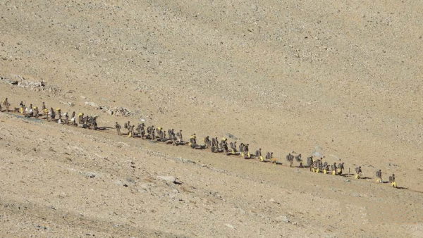 Pics of Indian and Chinese troops and tanks disengaging from Pangong lake area in Eastern Ladakh Pics of Indian and Chinese troops and tanks disengaging from Pangong lake area in Eastern Ladakh