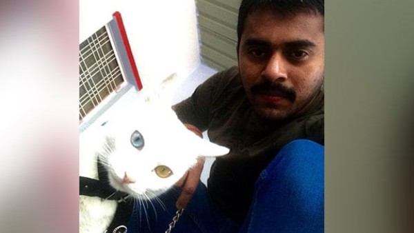 जंगल में मिली बिल्ली