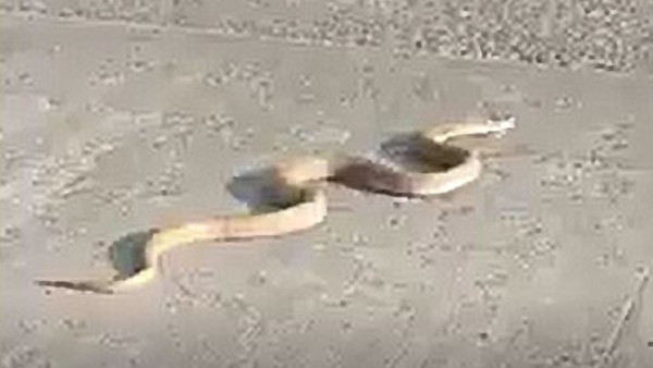 संक्रमण फैलने की वजह अज्ञात