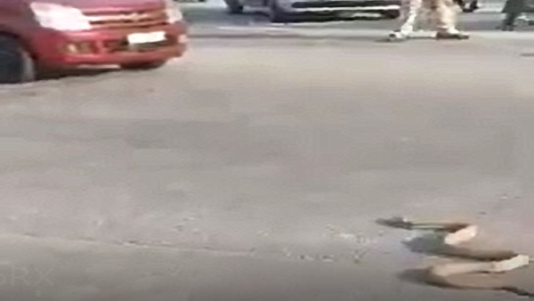 12 फरवरी को शेयर किया गया वीडियो 
