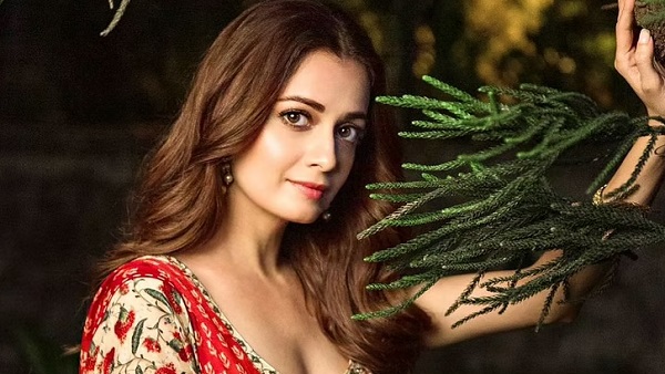 दीया मिर्जा का करियर दीया मिर्जा का करियर