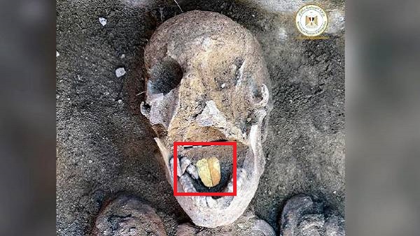 तापोसिरिस मैग्ना में चल रहा काम