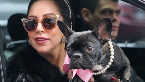 जानकारी देने वाले को मिलेगा 3.65 करोड़ का इनाम