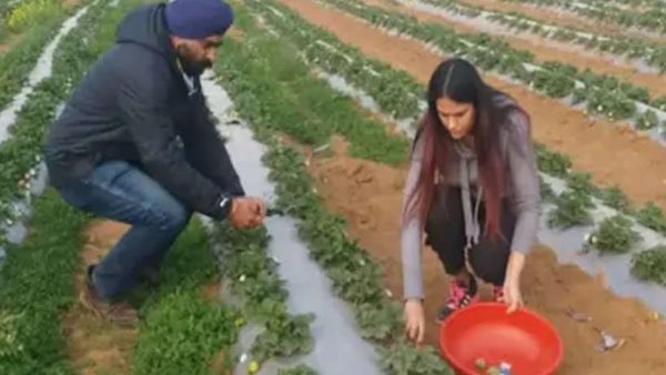 पीएम मोदी भी हुए गुरलीन चावला के मुरीद