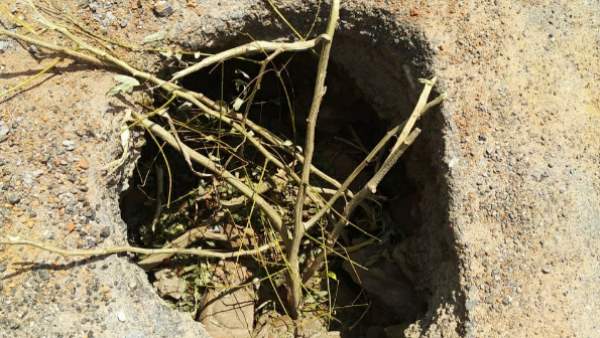 12 घंटे तक मुंह के बल गड्ढे में उल्‍टा पड़ा रहा युवक