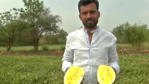 ऊपरी हिस्सा हरा, अंदर से पीला