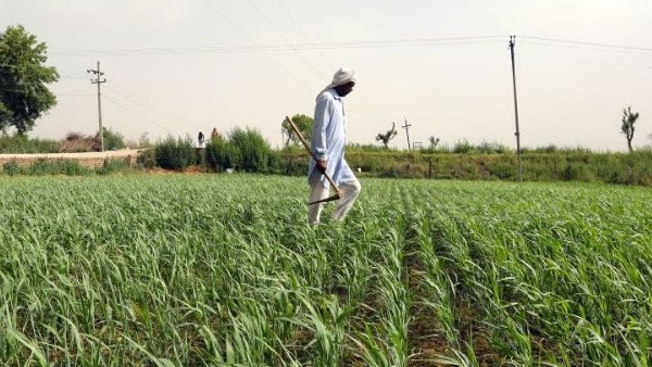 किसको फायदा मिला ? कृषि और किसान