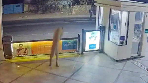 चौकीदार की हालत हुई खराब चौकीदार की हालत हुई खराब