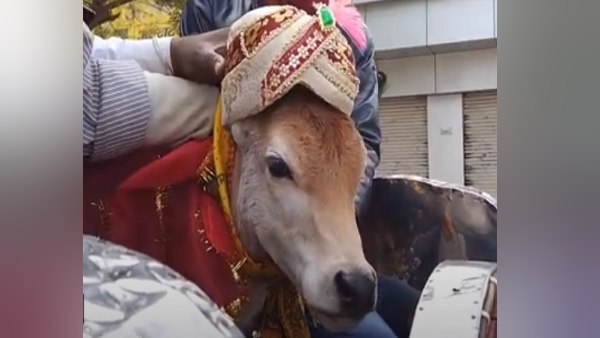 क्यों चर्चा का विषय बनी ये शादी ? क्यों चर्चा का विषय बनी ये शादी ?