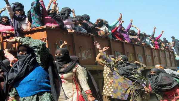 पहली उप-श्रेणी में 1,674 जाति समूह पहली उप-श्रेणी में 1,674 जाति समूह