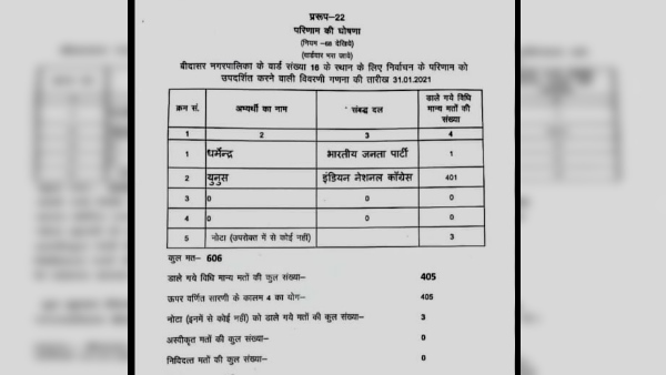 निर्दलीय