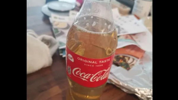 हैलोफ्रेश कंपनी से मंगाया था खाना