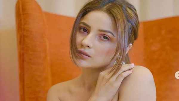 शहनाज गिल की फोटो देख क्या बोले फैंस 