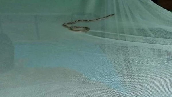 डीआरएम ने दिए जांच के आदेश