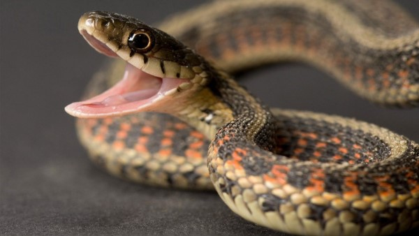 क्‍या है पूरा मामला?