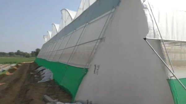 6 साल तक अलग-अलग पॉली हाउस में काम किया