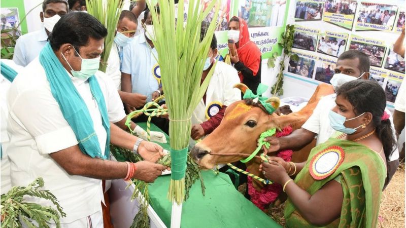 पलानीस्वामी ने बार-बार चुनाव हारने के बाद भी जयललिता की पार्टी को मुट्ठी में कैसे लिया
