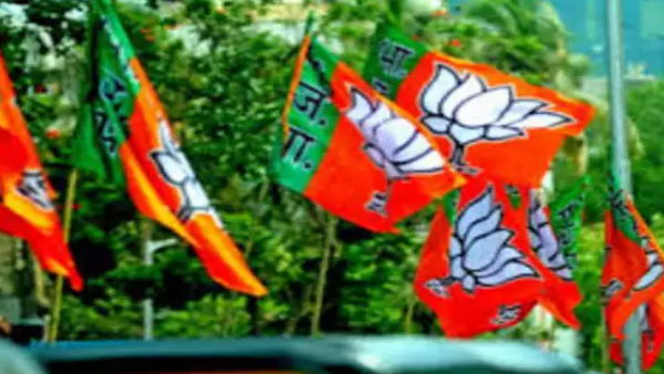 बहुमत के बाद भी हारी भाजपा बहुमत के बाद भी हारी भाजपा