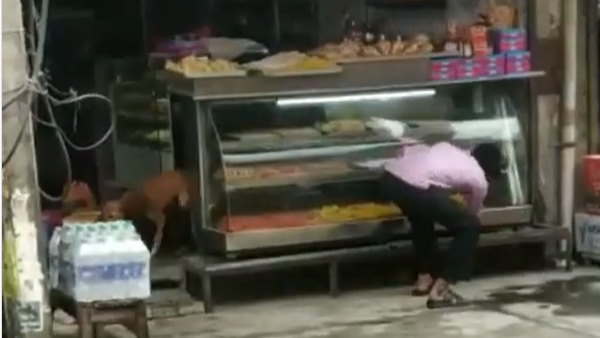 वीडियो पर आ रहे मजेदार रिएक्शन