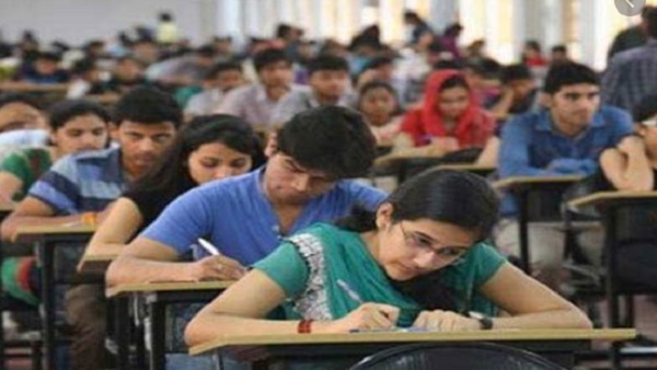 ये रहा काव्या का अब तक का सफर