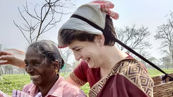 चाय के बागान में प्रियंका गांधी चाय के बागान में प्रियंका गांधी