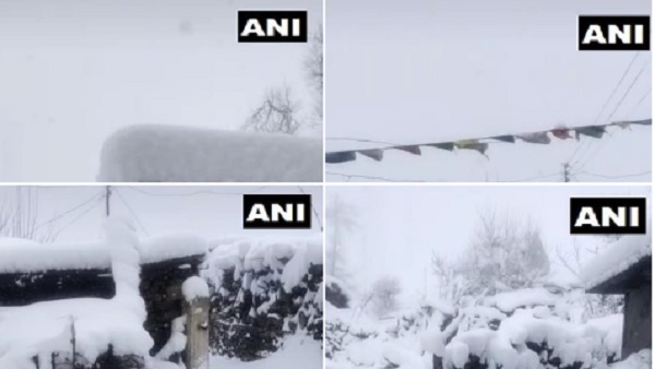 सफेद बर्फ की चादर में लिपटा हिमाचल सफेद बर्फ की चादर में लिपटा हिमाचल
