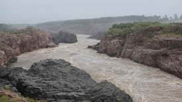 क्या इस प्रोजेक्ट से पन्ना टाइगर रिजर्व पर भी असर पड़ेगा ?