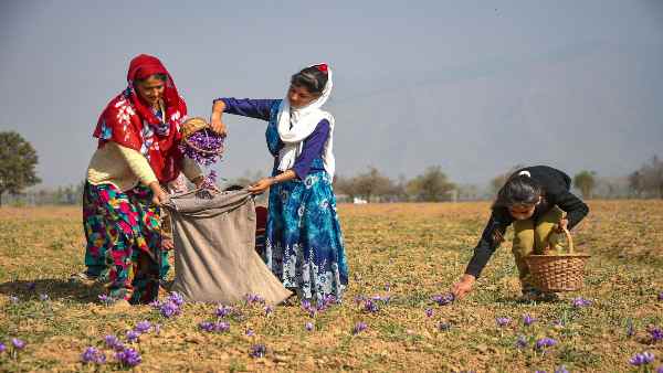 कारवां-ए-अमन बस सेवा फिर शुरू करने की मांग