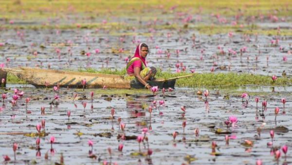 म्युनिसिपल परफॉर्मेंस इंडेक्स-2020 म्युनिसिपल परफॉर्मेंस इंडेक्स-2020