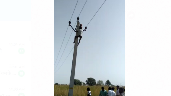 वीडियो सोशल मीडिया में वायरल