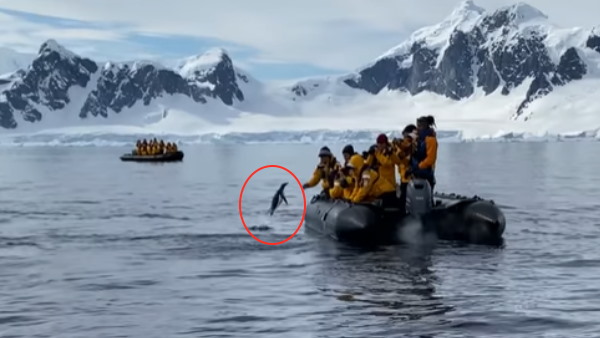 क्या है वीडियो में?