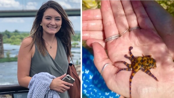 हाथ में मोस्ट डेंजरस ऑक्टोपस