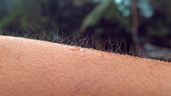 अटॉप्सी शुरू करने से ठीक पहले खड़े हुए रोंगटे