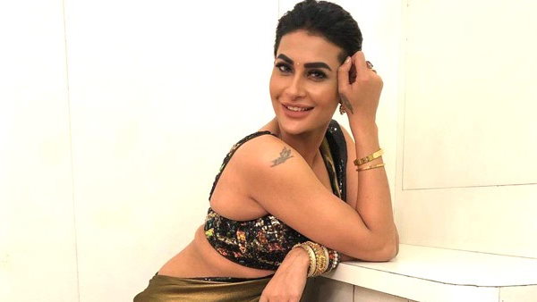 इन सीरियल में कर चुकी हैं काम