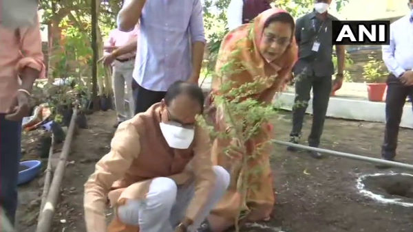 शिवराज सिंह चौहान ने जन्मदिन पर लगाया पौधा