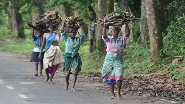 गोंड समुदाय की संस्कृति में स्थान का असर भी पड़ा है