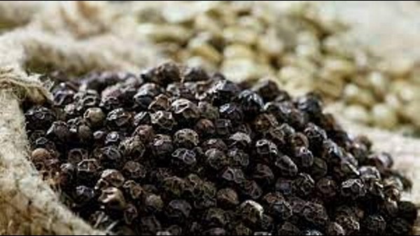 काली मिर्च