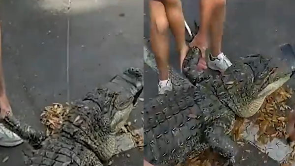 मामला फ्लोरिडा के टंपा शहर का है